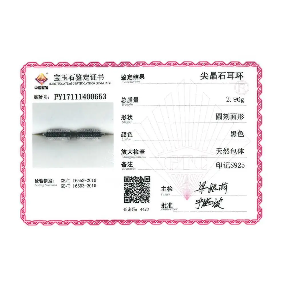 E307197BSNZSK925