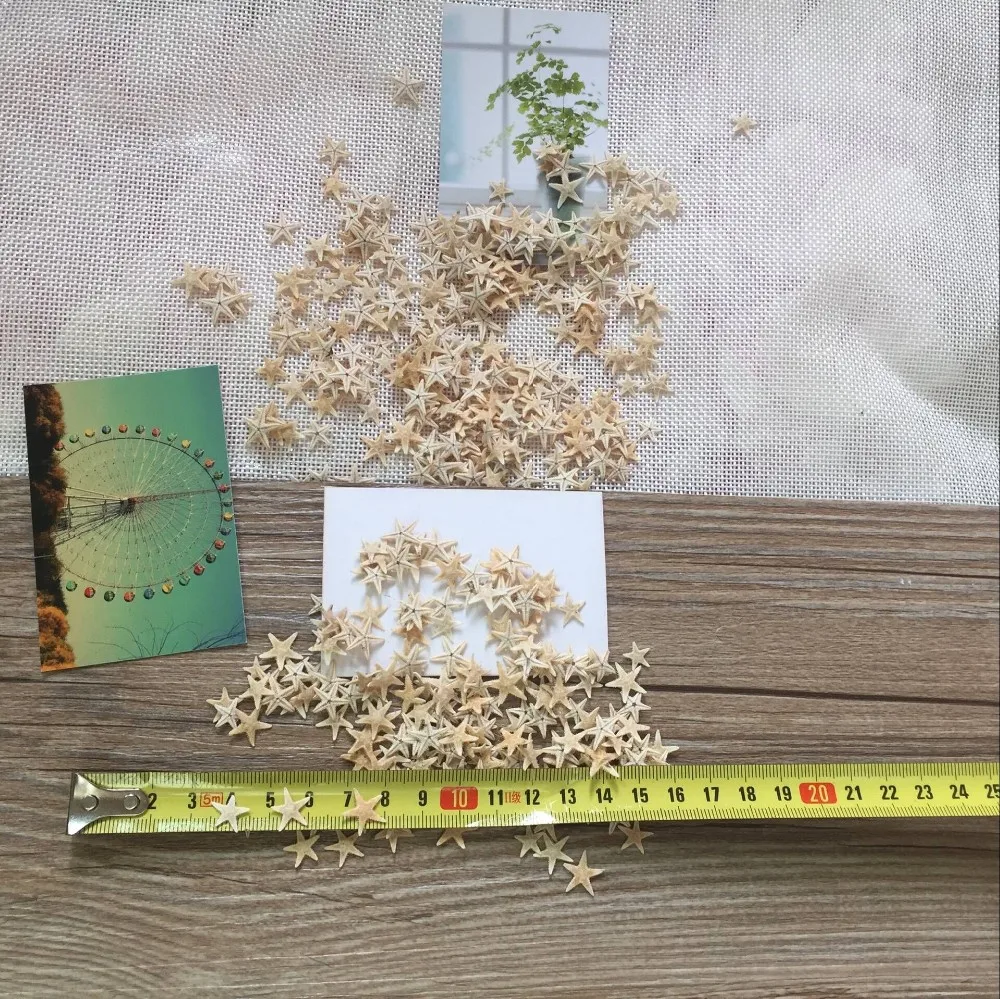 HappyKiss20pcs 1-2cm 2-3cm Mini Starfish Craft Decoration Natural crafts Sea Stars DIY Beach Cottage Wedding Decor hot shells