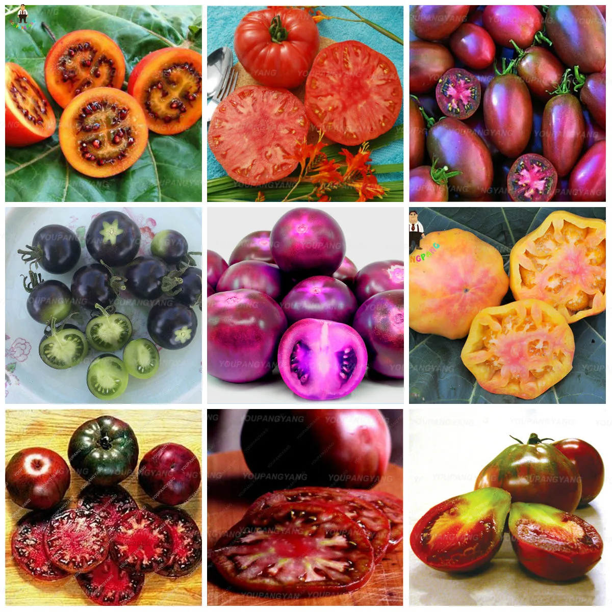 

200pcs sweet tasty tomato Potted tomato bonsai vegetables Edible food balcony potted plants for garden decoration