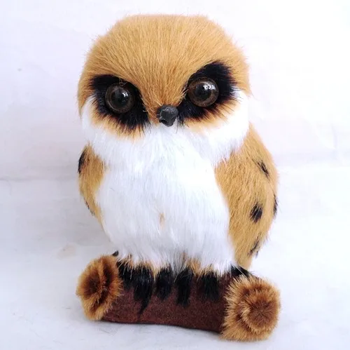owl 11