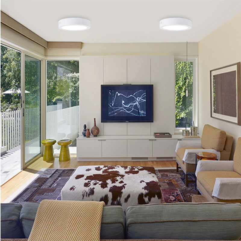 Ceiling Light Surface Mounted Panel lamp-2
