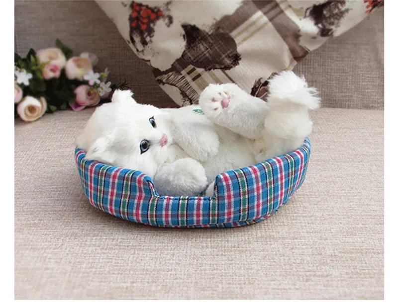 plush cats (2)
