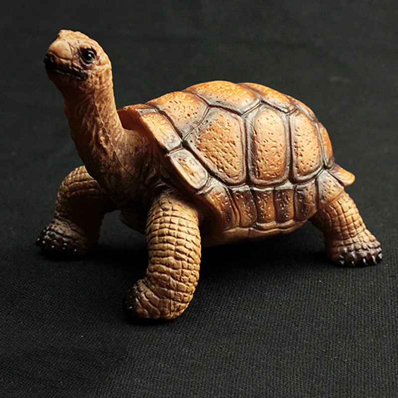 

1Pcs Mini Simulation Marine Wild Animal Turtle Model Tortoise Turtle Sea Amphibian Toy for Children Gift Collection Model Toy