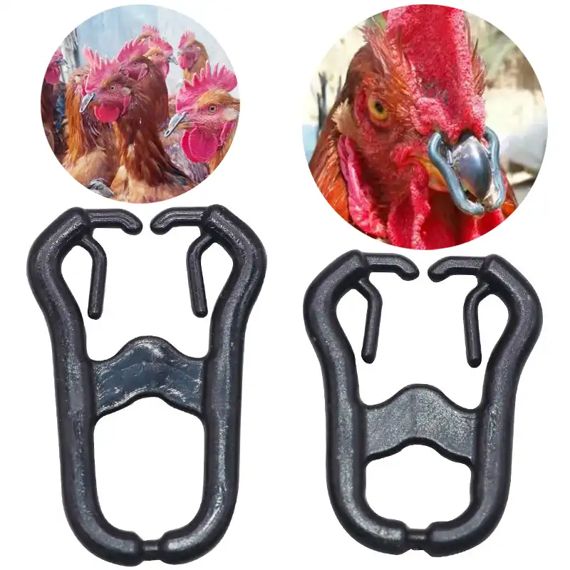 50 pces boca de frango snap anel alternativas aos óculos de frango grande 35mm pequena 30mm gaiola que coloca galinha faisão grande galo