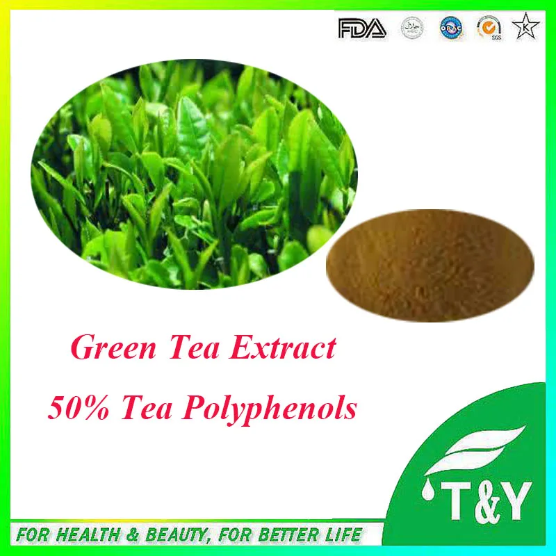 

High quality & anti-tumor Green Tea Extract. with free shipping, 50% tea polyphenols