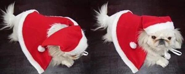 1 шт. собаки кошки Рождественский костюм, шляпа+ шаль щенок шапки Санта-Клауса поставки собачка аксессуары собака кошка фестиваль подарок S, M, L