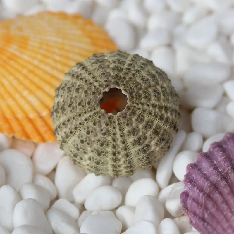 Download Decorations cotieres plage For Free