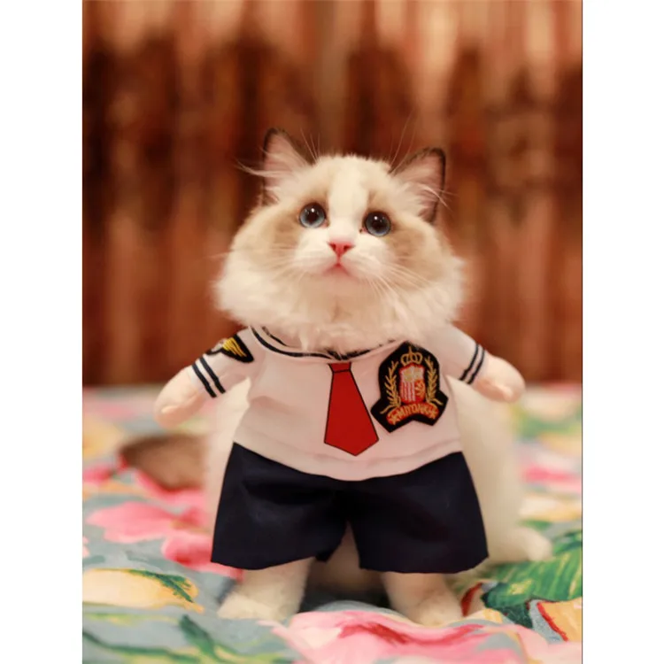 cat clothes (2)