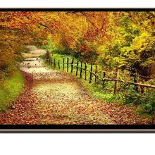 OEM ODM 17 18,5 20 19,5 21,5 24 27 28 31,5 38,5 43 дюймов full hd led smart tv 1080p led tv