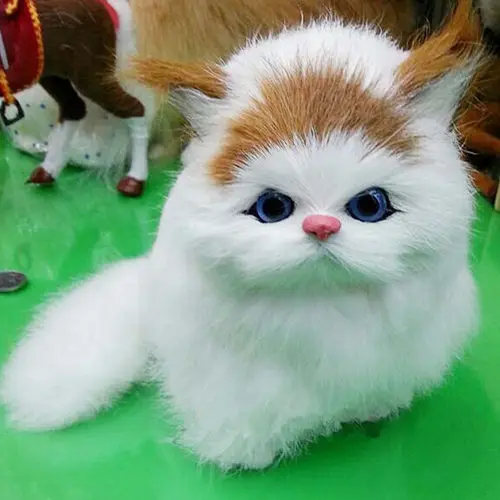 article plush cat kat soft animal 5_