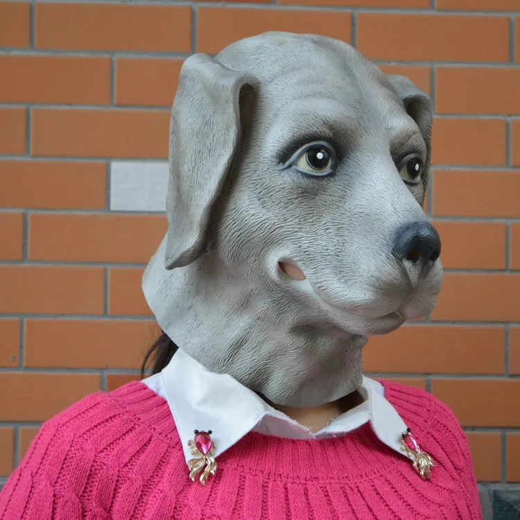 1929338347_1740798620