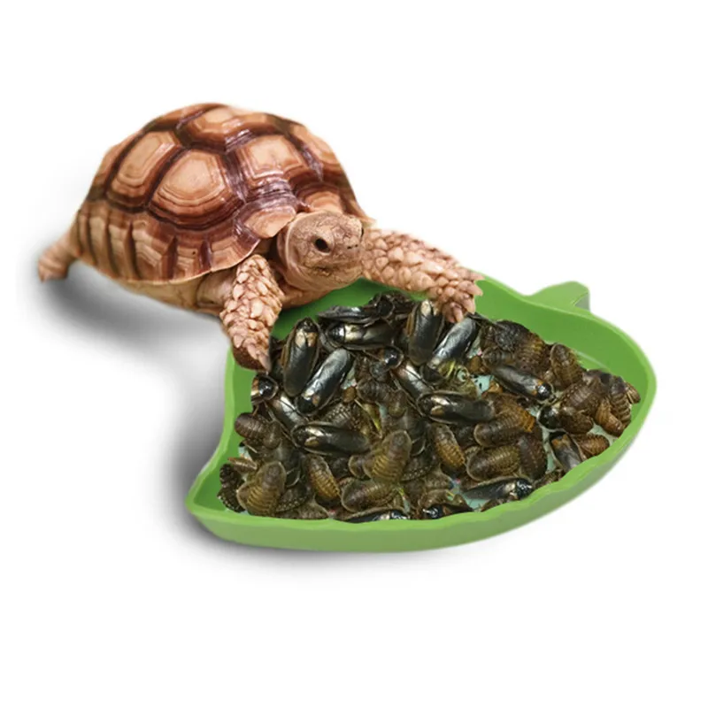 Leaf Shaped Food Water Bowls for Reptiles Tortoise Snakes Spiders Lizards Water Drinking Foods Feeder Small Pet Feeding Supplies 11 Leaf Shaped Food Water Bowls for Reptiles Tortoise Snakes Spiders Lizards Water Drinking Foods Feeder Small Pet Feeding Supplies 11