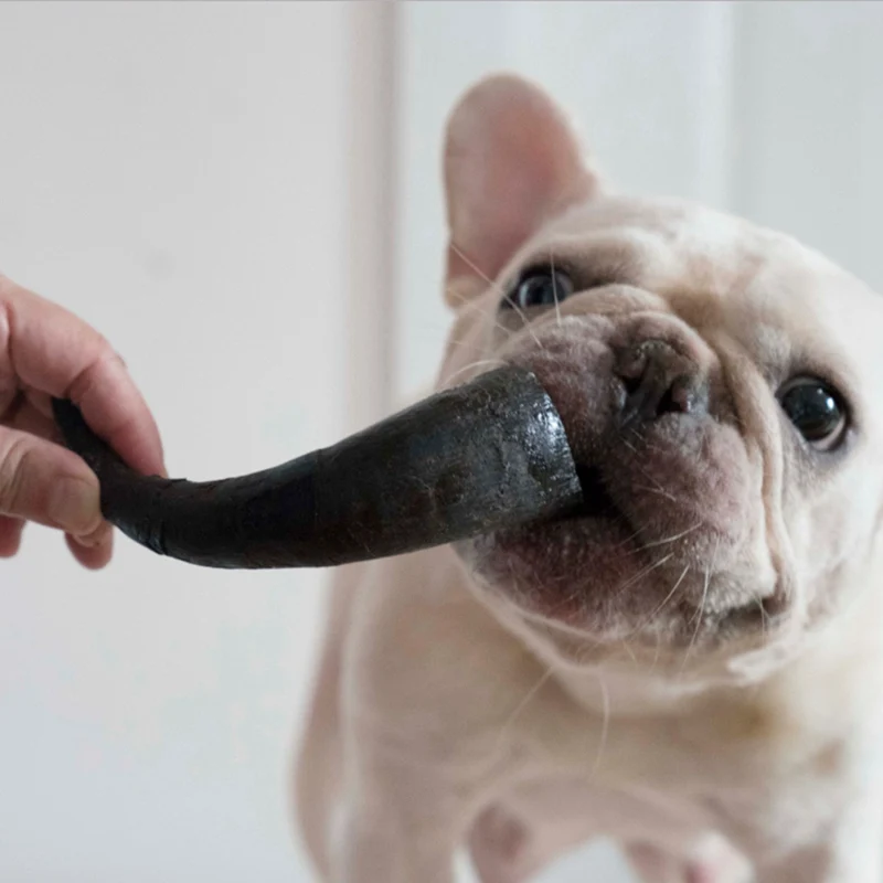 JL655 (8)
