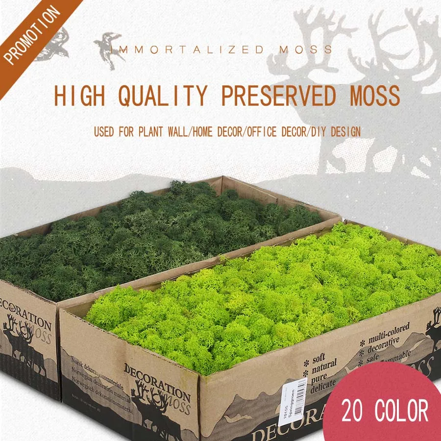 

2018 Free Shipping 500G DIY Immortal Preserved Natural Real Moss Plante Wall Multi-colors Flower for Venue Home Wedding Decor