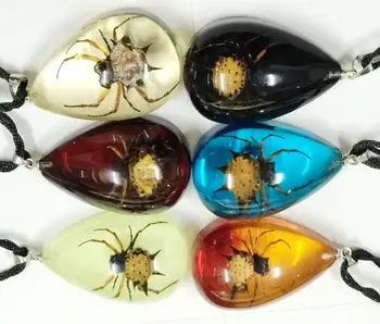 

FREE SHIPPING wholesale 12PCS NEW REAL SPINY SPIDER LUCITE PENDANT INSECT JEWELRY TAXIDERMY GIFT
