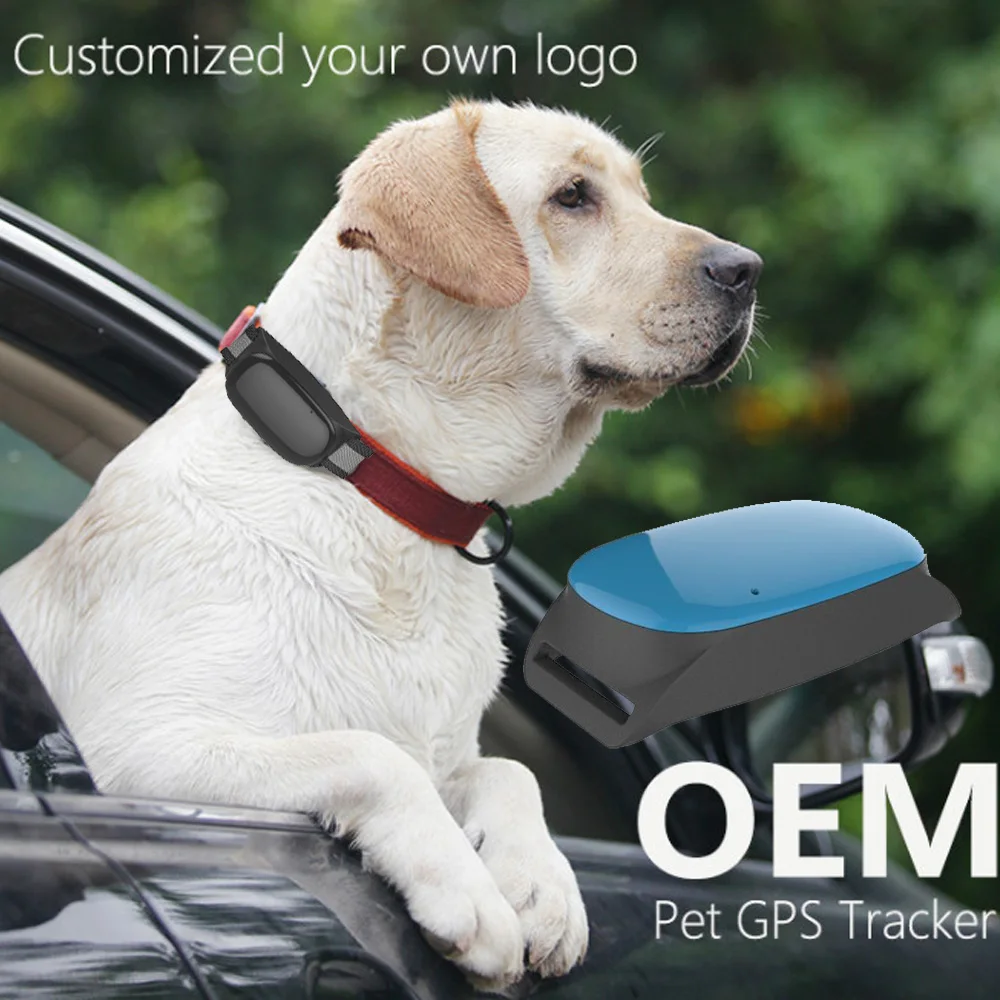 

Waterproof Mini GPS Tracker Locator GSM GPRS Tracking System for Pets Dog Cat Old man free app for iOS And android
