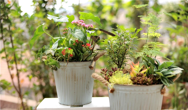 garden decoration pot metal old (5)