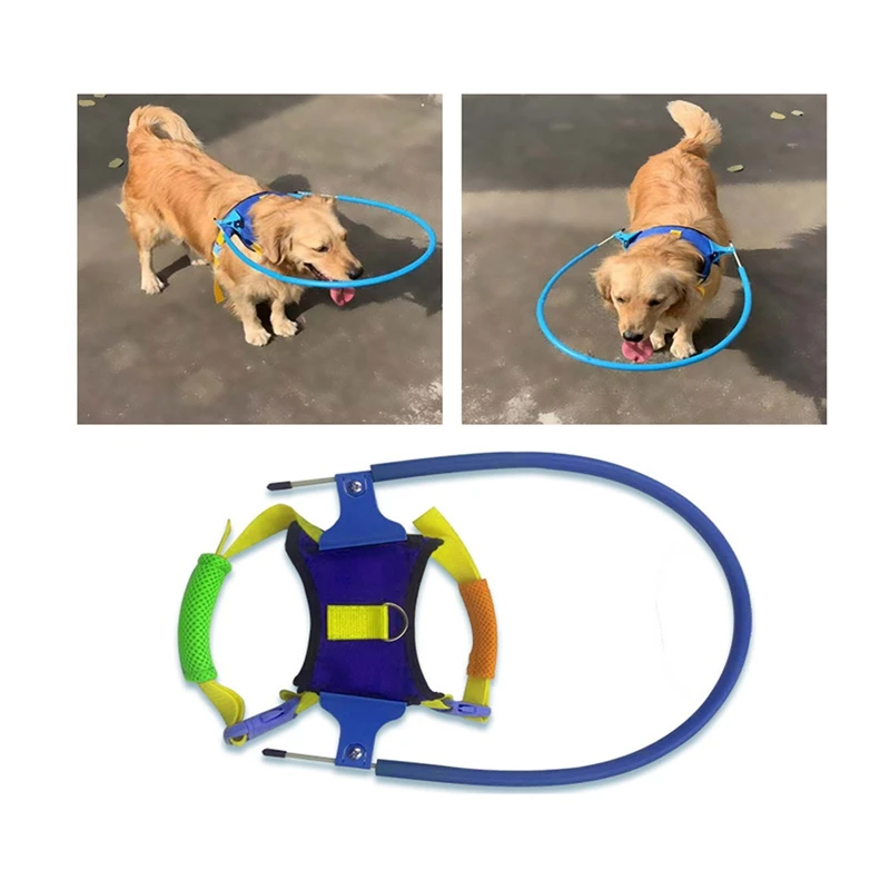 pet halo for blind dogs