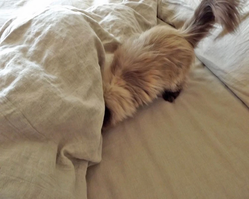 

2019 France Washed linen bedding Pure Linen duvet cover Queen Flax Bed Linen Cover Children Pink Gray 63"x83" Housse De Couette