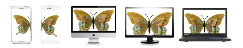 3D Butterfly fridge magnet home decoration 5pcs - 3
