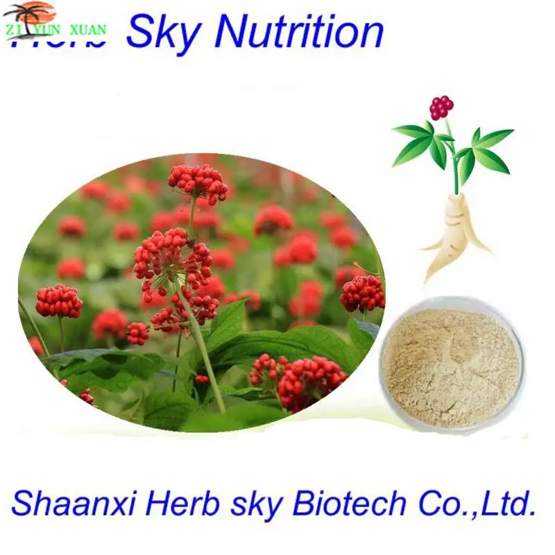 

100% natural Extract Panax Ginseng/Ginsenosides 80% Panax Ginseng extract/Panax Ginseng extract powder CAS 600g/lot