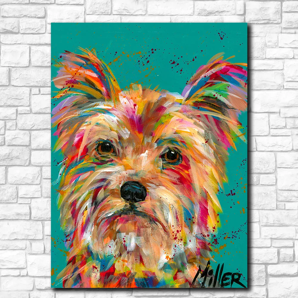 Colors Dog