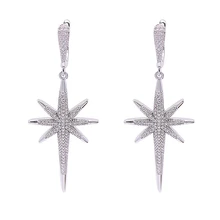 

Unique Style Stars 925 Sterling Silver AiMolies Hoops Earrings QEH030