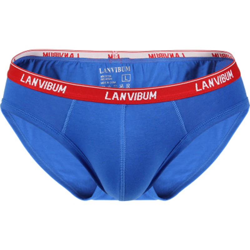 

DEWVKV Men's Briefs Cotton Underwear U Pouch Soft Breathable Comfortable Summer Solid Blue Male Panties Sexy New Arrival 2019 ZC