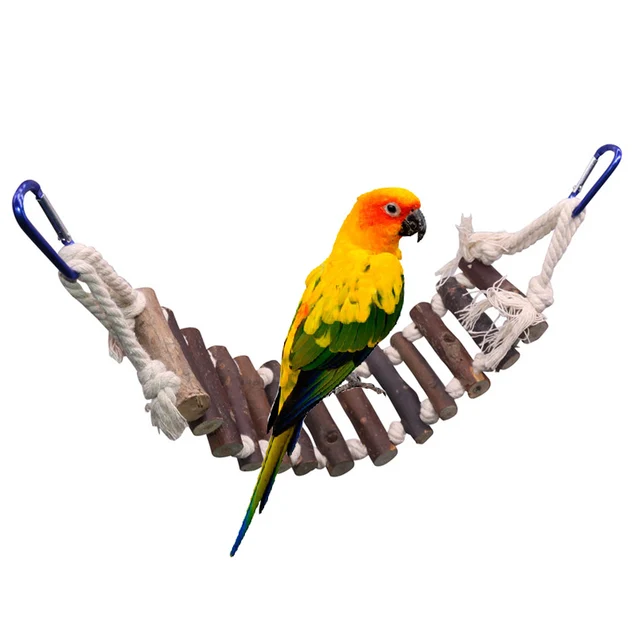 Bird Toys Set Swing Chewing Training Toys Small Parrot Cage Bell Perch Toys 3