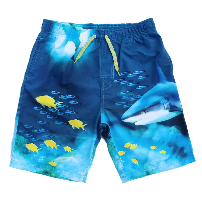 High Quality Esporte e Lazer