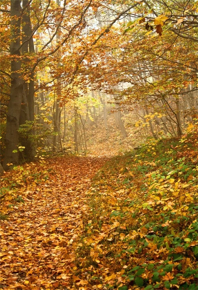 

Laeacco Autumn Fallen Leaves Yellow Tree Passage Portrait Scenic Photographic Backgrounds Photography Backdrops For Photo Studio
