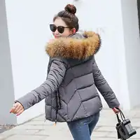 winter jacket women Parkas for Coat Fashion Female Down Jacket With a Hood Large Faux Fur Collar Coat 2019 manteau femme hiver