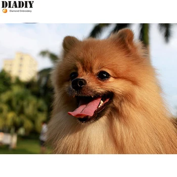 

5d full diamond embroidery Pomeranian dog round diy diamond Painting diamond mosaic Needlework diamond picture home decor art