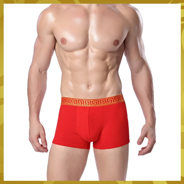 Red Luxury Brand Shorts