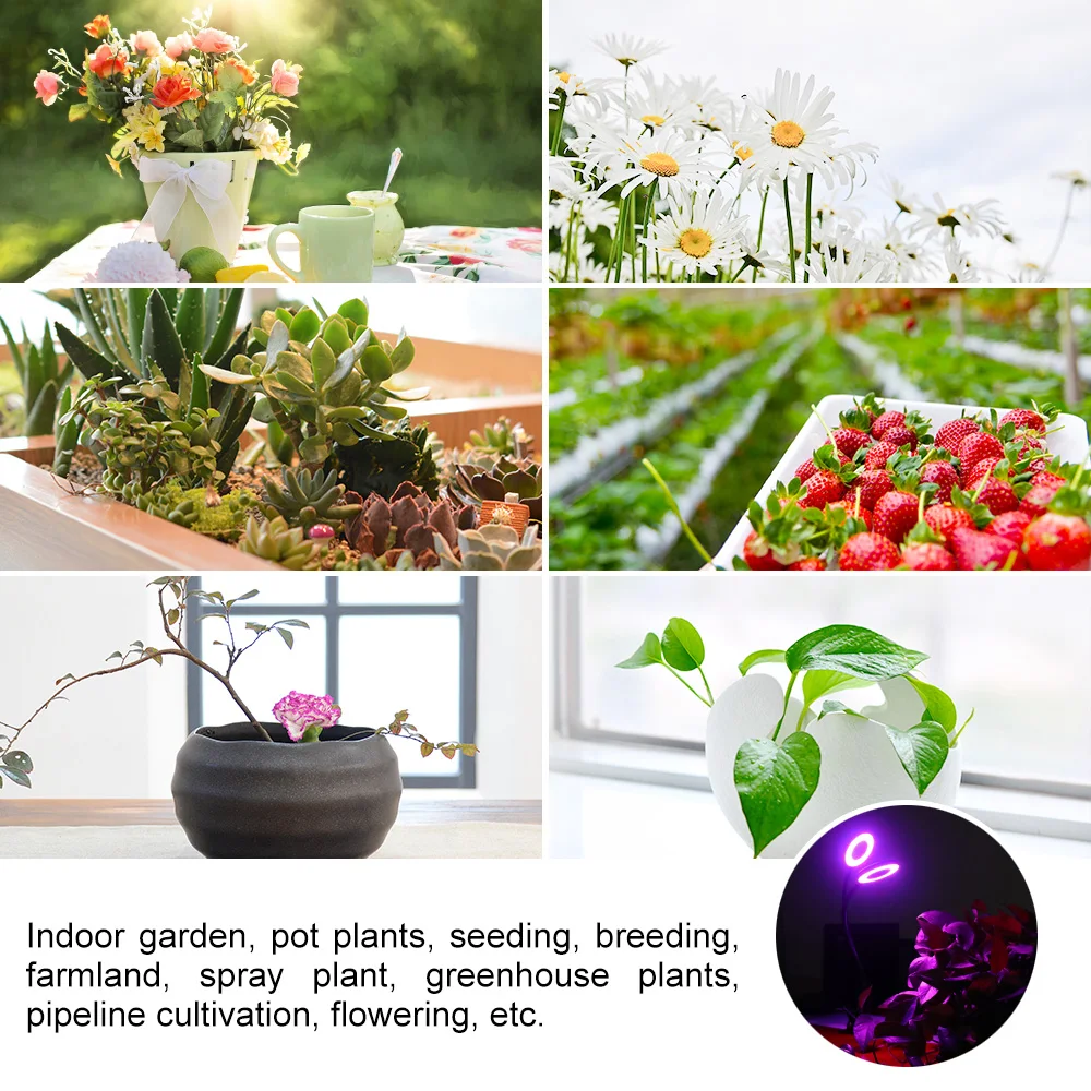 Flexible-7W-24-LED-Plant-Grow-Light-6-Brightness-Levels-Clip-Design-with-Timer-Lighting-Vegetable (2)