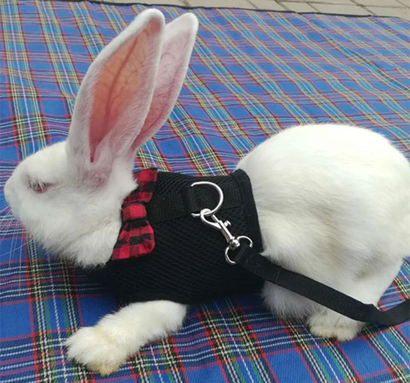 

S-L Size Mesh Small Animal Leash Harness Small Pet Harnesses Rabbit Hamster Totoro Lead Harnesses For Drop Shipping 35