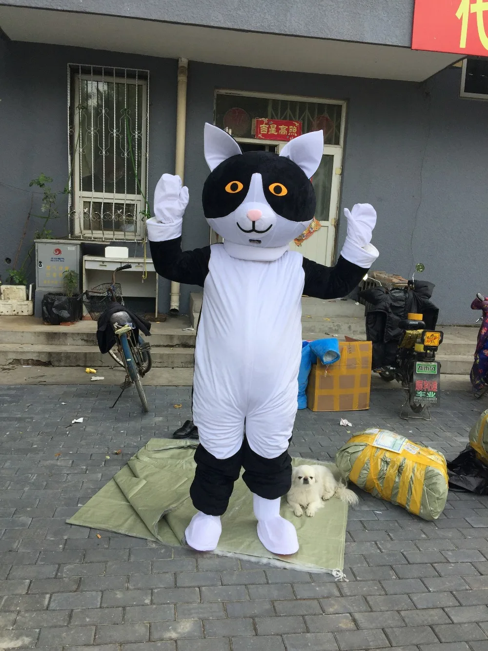 Noir Et Blanc Chat Mascotte Costumes Pour Adultes Cirque De Noel Halloween Outfit Fancy Dress Costume Livraison Gratuite Cat Mascot Costume Mascot Adultcostumes For Adults Aliexpress Noir Et Blanc Chat Mascotte Costumes Pour Adultes Cirque De Noel Halloween Outfit Fancy Dress Costume Livraison Gratuite Cat Mascot Costume Mascot Adultcostumes For Adults Aliexpress