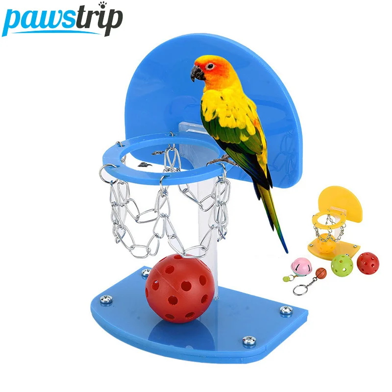 Buy pawstrip 5pcs/set Pet Birds Toys Parrot Basketball