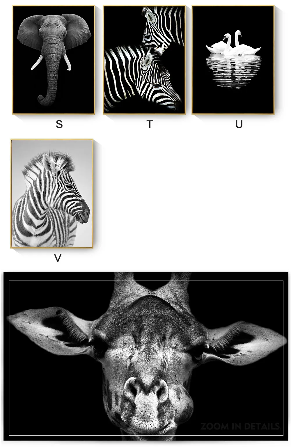 详情1-21个选款_03
