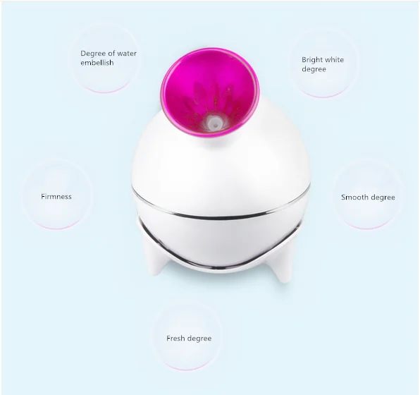Facial steamer7