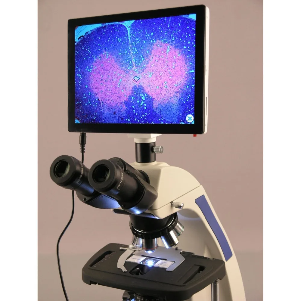 AmScope 40X 2500X план Бесконечность лаборатории составной Микроскоп с ЖК Сенсорная панель Экран|microscope laboratory|microscope