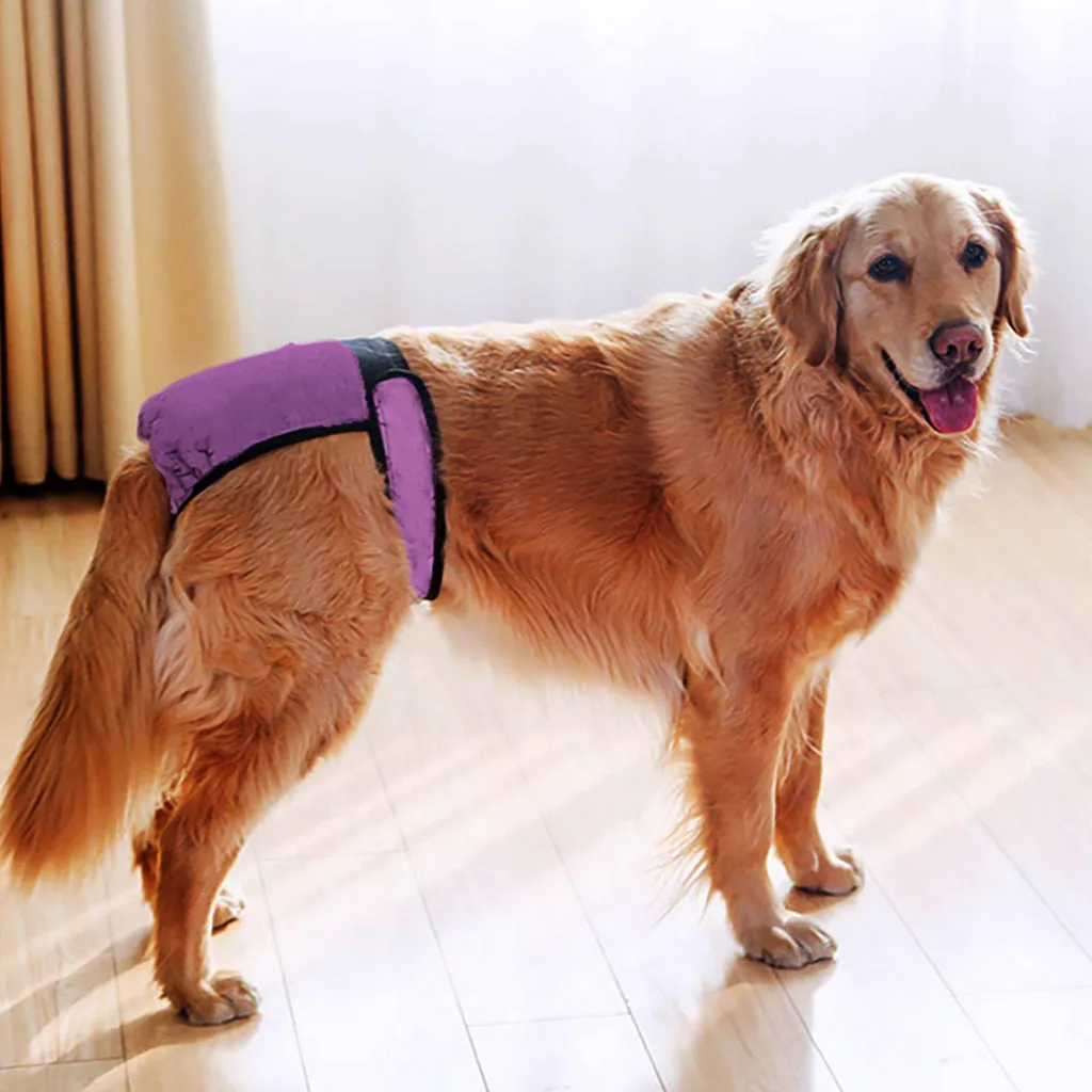 Pet Dog менструальные физиологические защитные брюки для щенка регулируемые физиологические Здоровье мягкие шорты товар для домашнего животного