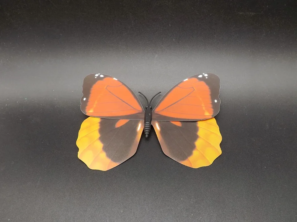 I227-Butterfly (5)