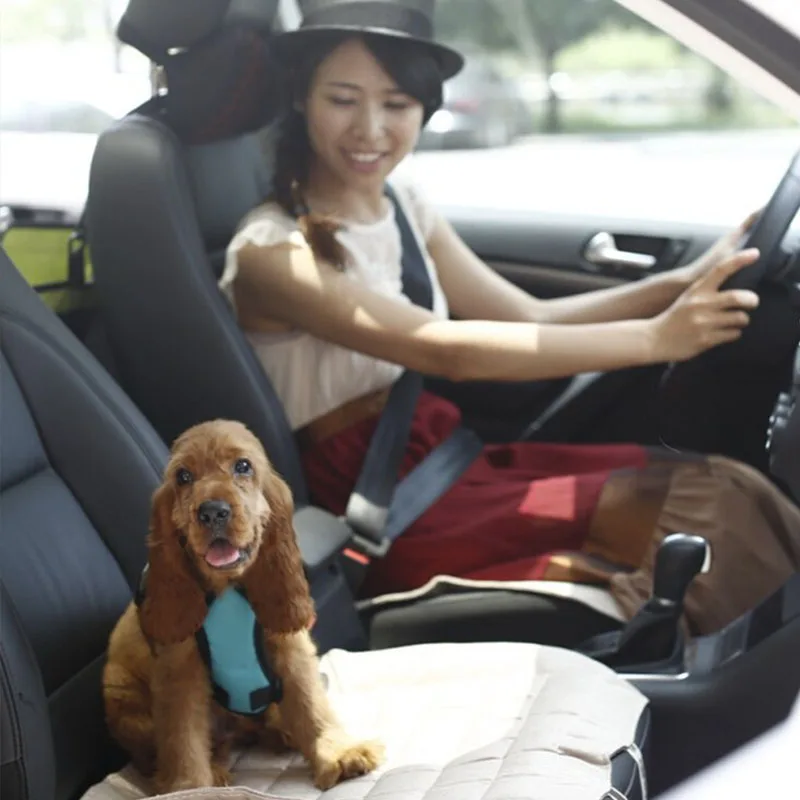 Dog Car Harness (7)