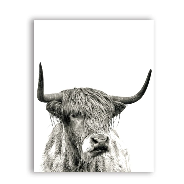 Нагорная корова, холст, Художественная печать и плакат, ферма, животное, Нагорный бык, фотография на холсте, картина, современная настенная художественная Декорация - Цвет: Цвет: желтый