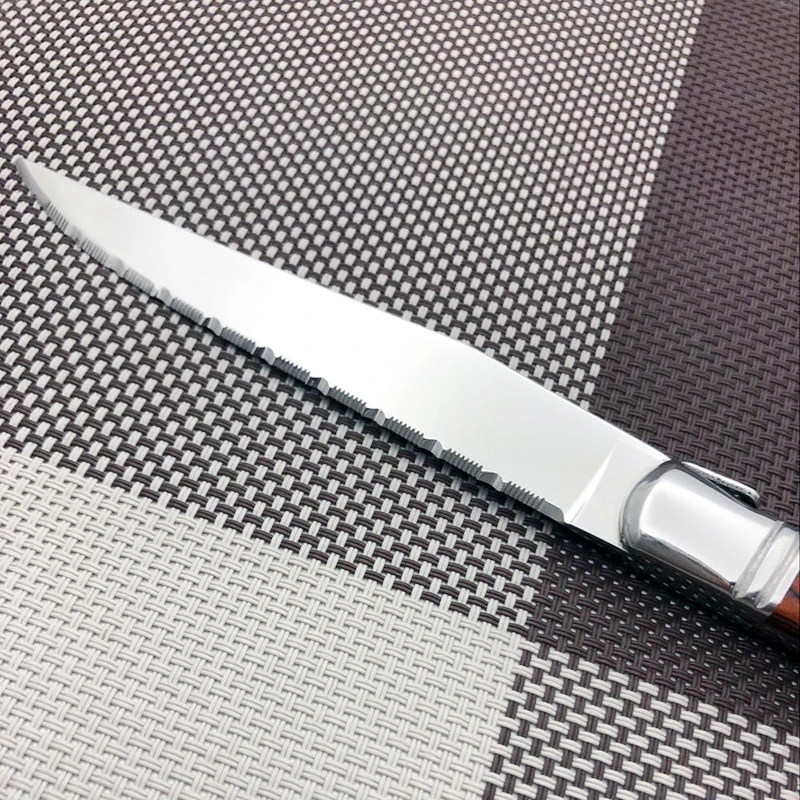 dinner knife (5)