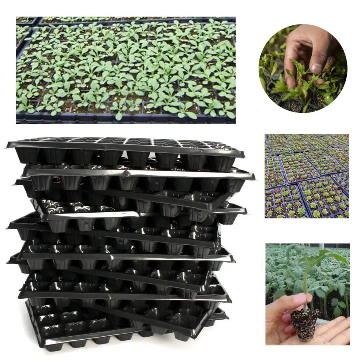 PVC 32 Cells Seedling Starter Nursery Pots Trays 10PCS Seed Germination