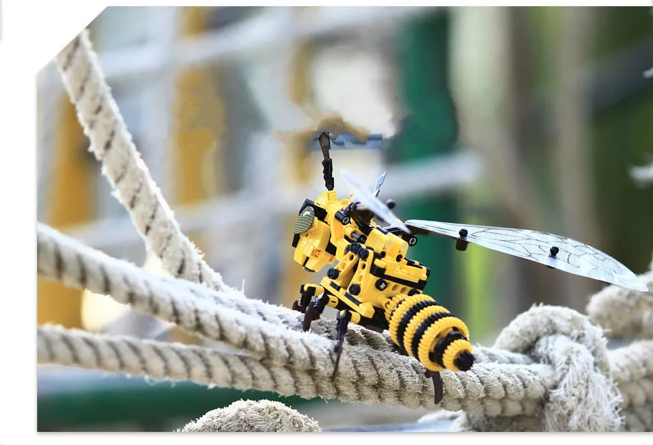 bee_14