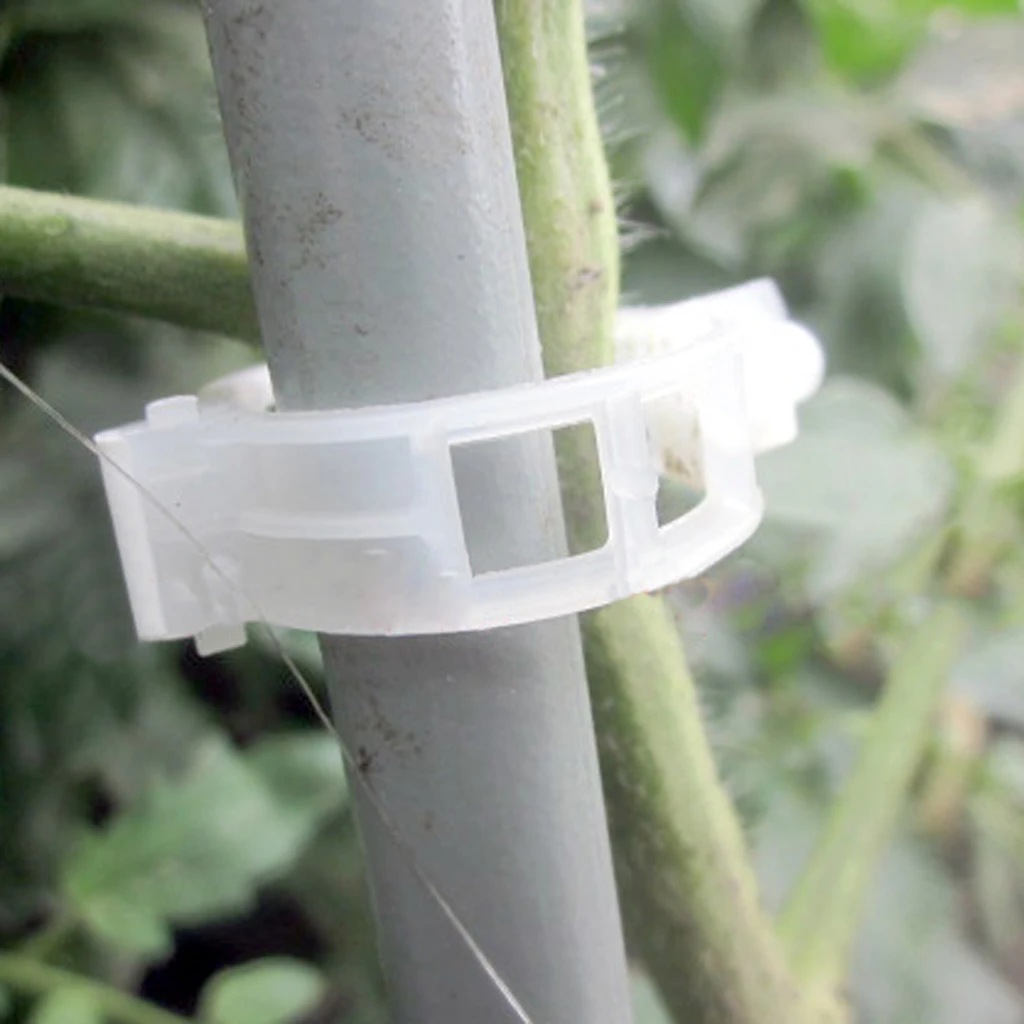 

100pcs Tomato Clips Connect Pepper Cucumber Vines to Trellis Twine DIY Home Garden Growing Plant Supplies Wholesale