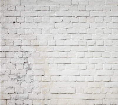 

10x10ft Vinyl Custom Wall theme Photography Backdrops Prop Studio Background HU-05273